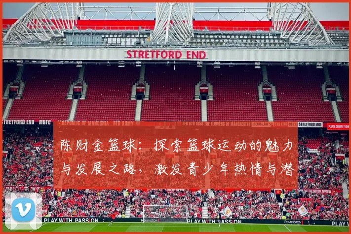 陈财金篮球：探索篮球运动的魅力与发展之路，激发青少年热情与潜力