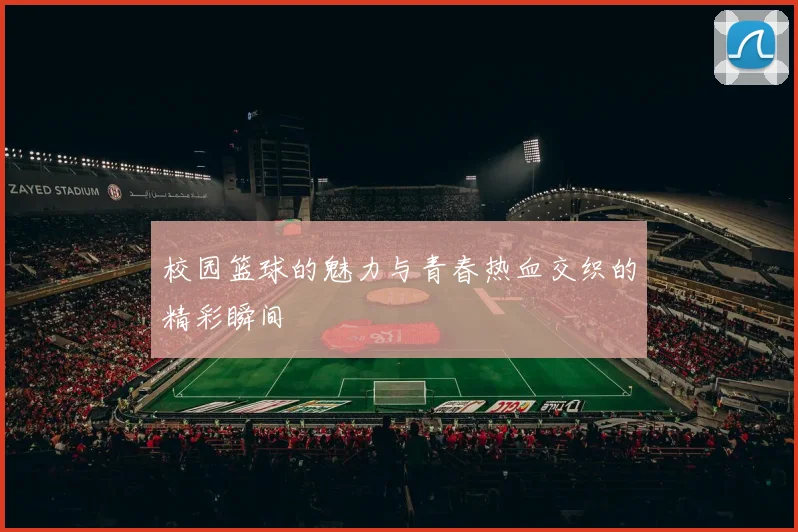 校园篮球的魅力与青春热血交织的精彩瞬间