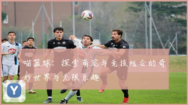 喵篮球：探索萌宠与竞技结合的奇妙世界与无限乐趣