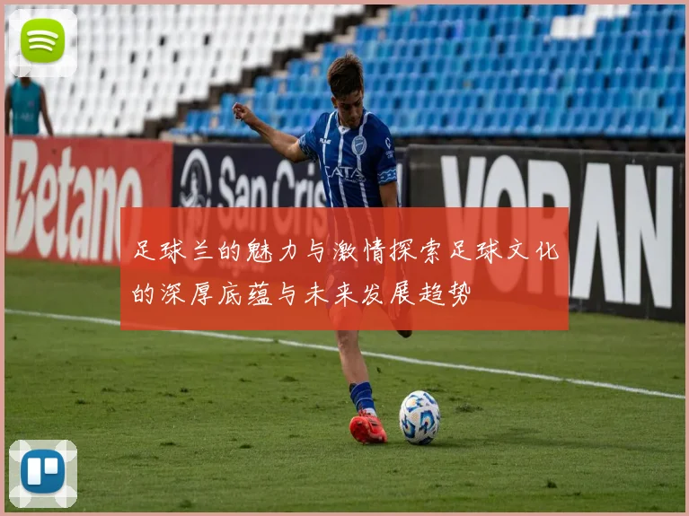 足球兰的魅力与激情探索足球文化的深厚底蕴与未来发展趋势